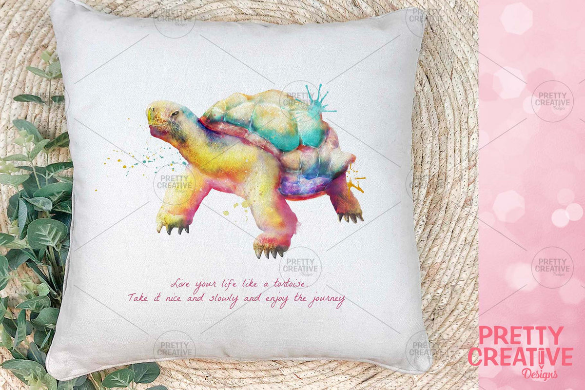 Slow and Steady Tortoise Artwork