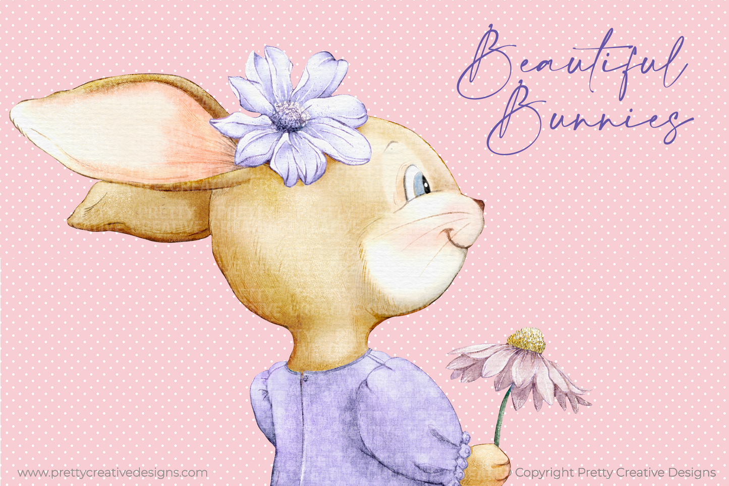 Beautiful Bunnies
