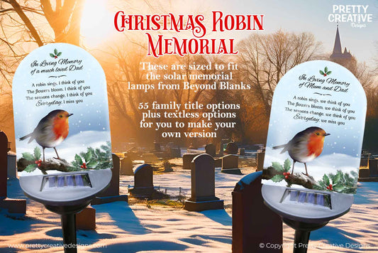 Christmas Robin Solar Light Artwork - LIMITED TO 30 SALES