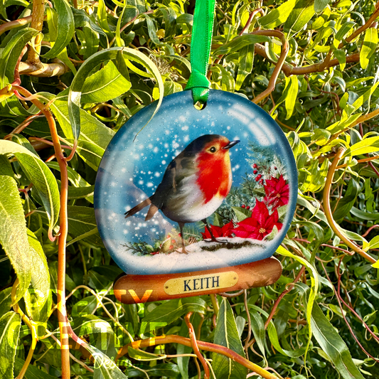 Remembrance Robin Snowglobe Bauble Artwork