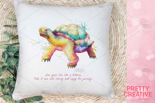 Slow and Steady Tortoise Artwork